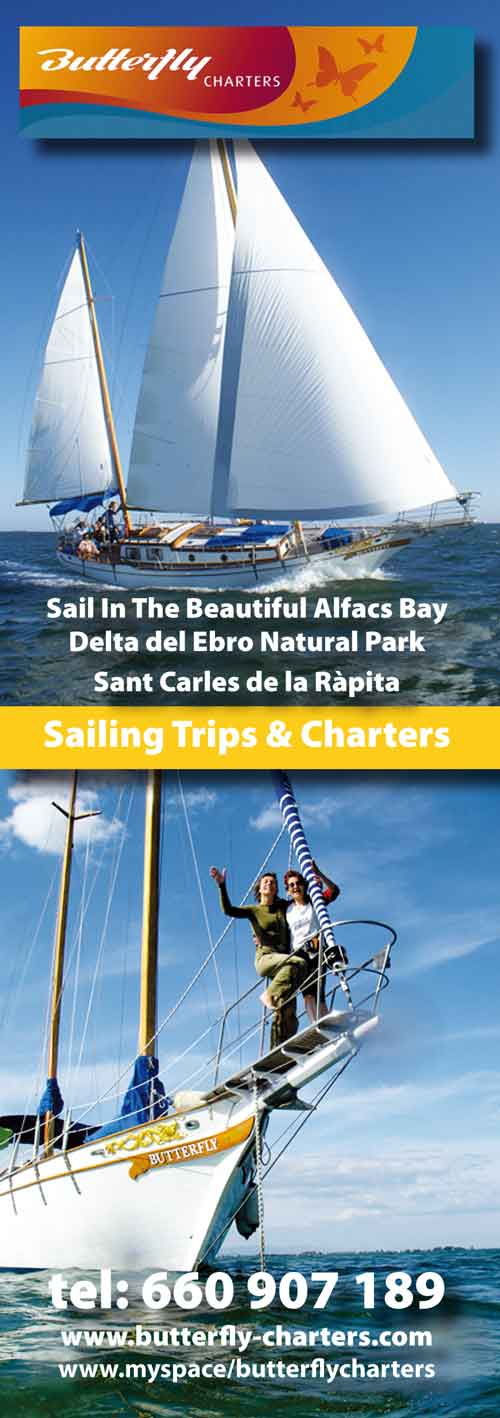 butterfly sailing